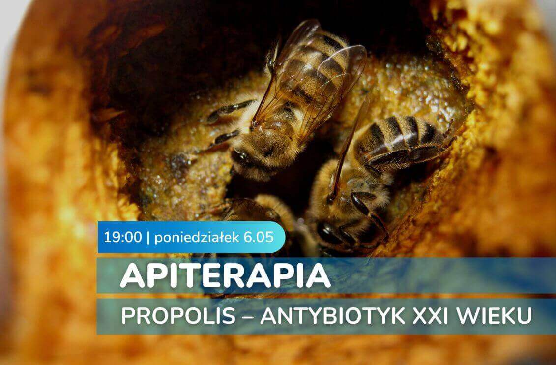 BEZPŁATNY WYKŁAD „PROPOLIS – antybiotyk XXI wieku” | 6.05.2024
